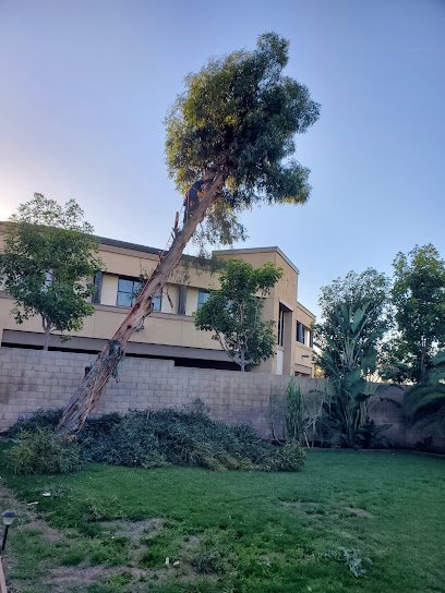 About-Tustin-CA